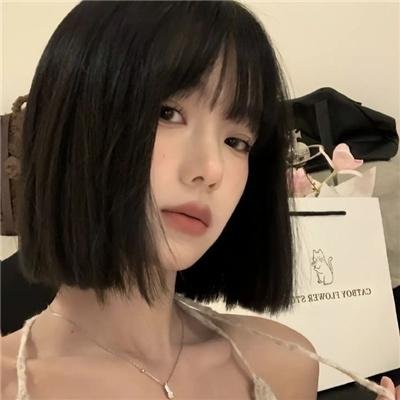狮子护卫队第一季